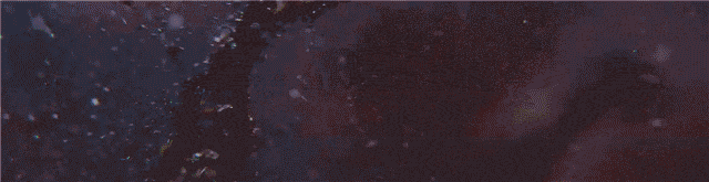 100+家基因检测机构参与共建 | 第二届基因检测联盟会议第二轮通知