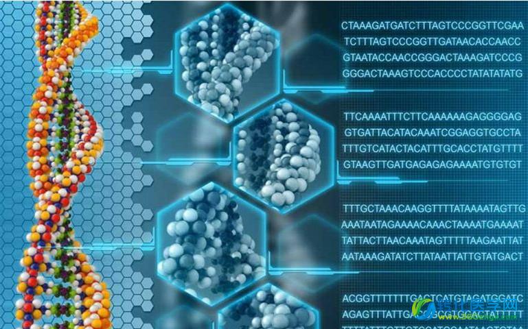 【GEN】2015年全基因组测序（WGS）6大应用预测