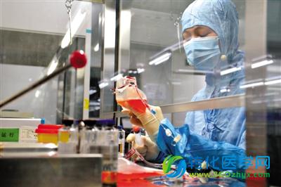 热播剧引发“自存脐带血”争议