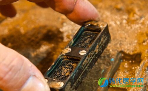 Nature：新抗生素或可解决药物耐受问题