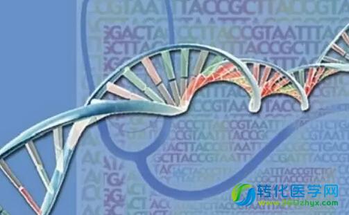 2015年下一代测序新亮点：小鲜肉与帅大叔