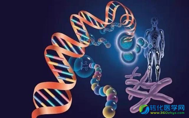 NEJM：精准医疗–短期目标，长期目标，各方角色是什么？