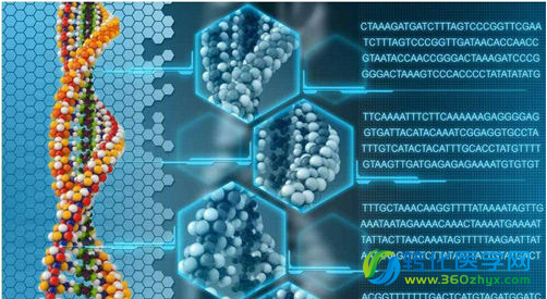 基因疗法走向临床：十六载沉浮，遇绝境而重生