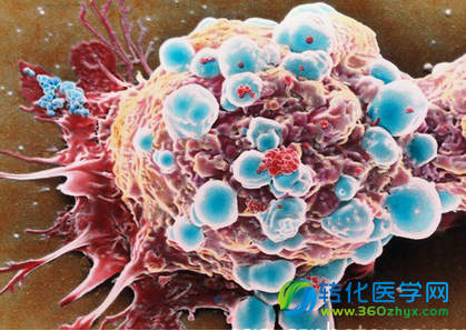 Nature：个性化免疫疗法新突破