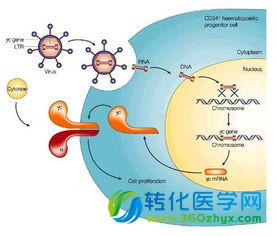 上海生科院葛高翔连发两项重要成果