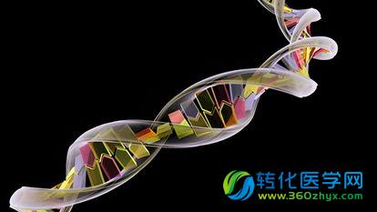 Nature：CRISPR，数数那些有前景的应用领域