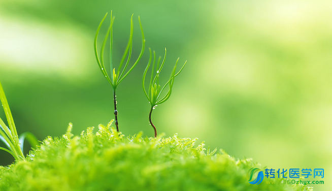 地球生命从何而来？美国科学家揭示生命起源的奥秘