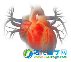 【涨姿势】夏季如何预防心血管疾病