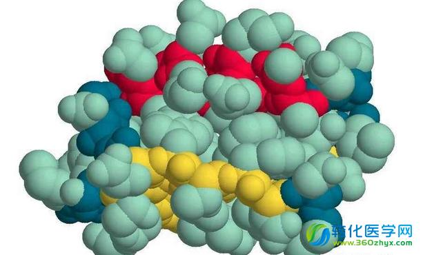 Cell技术突破：蛋白质研究的强大工具