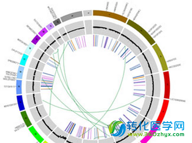 美国国立卫生院或资助研究癌症基因组学云项目的测试