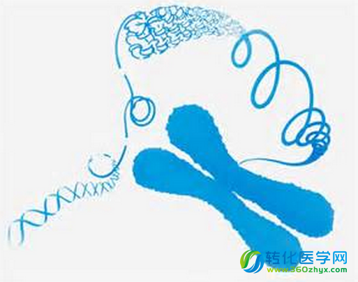 基于测序的基因板或可帮助诊断癌症及指导临床疗法