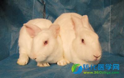 诺奖得主：动物模型对科学研究必不可少