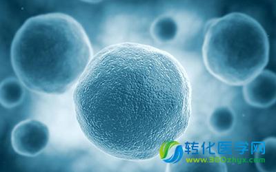 免疫治疗：肿瘤治疗的国际趋势和未来希望