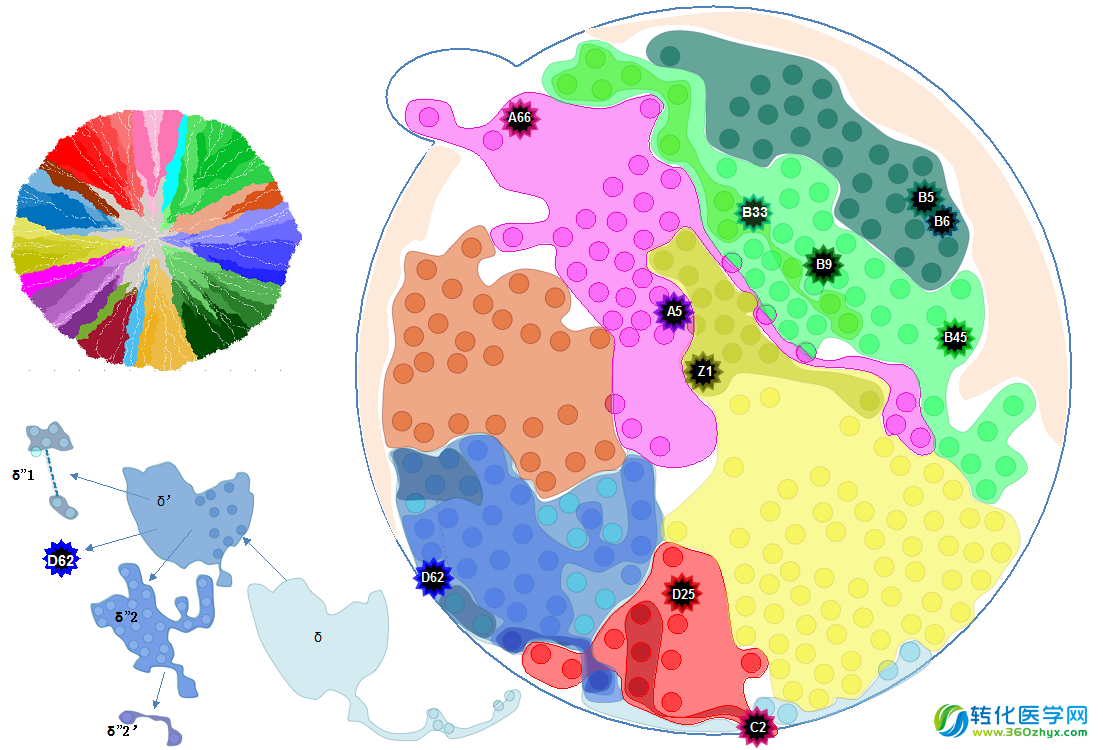 中科院北京基因组所PNAS发表史上最深度肿瘤基因组测序研究成果 