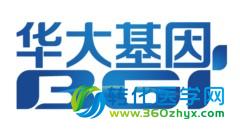 华大基因重大战略调整， CG“大规模”裁员 CEO离职