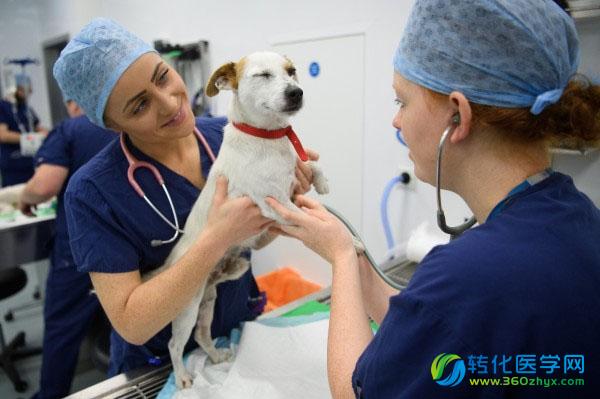 是什么揭开了免疫治疗的最后一层面纱？新项目或为免疫治疗研究带来重要突破