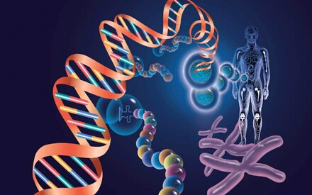 盘点：2014年生命科学十大新进展