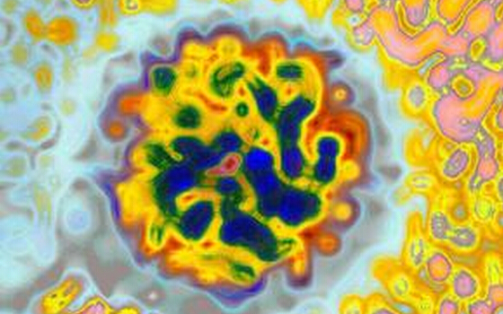 汤森路透最新报告：《HCV全球市场分析》