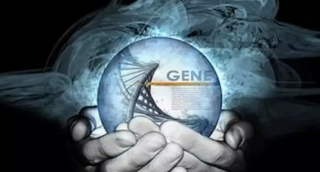 基因检测：你的“身体使用说明书”