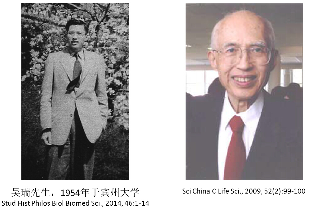 吴瑞先生：DNA测序之父，比Sanger提出测序法还早！