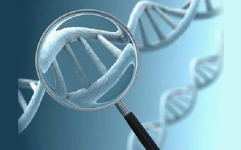 国家基因库开放E-BioBank资源信息共享平台 推动共建中国首个生物资源样本库目录