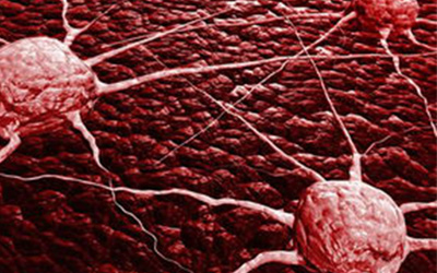 “中国临床肿瘤学会”成为国家一级学会