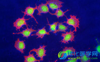 BBC:微生物可揭示死亡状况 亦可为性侵案提供线索