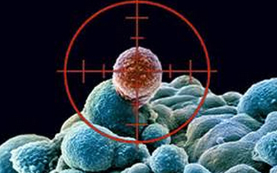 【里程碑】全国首个治疗性单克隆抗体中试平台落户三明高新区