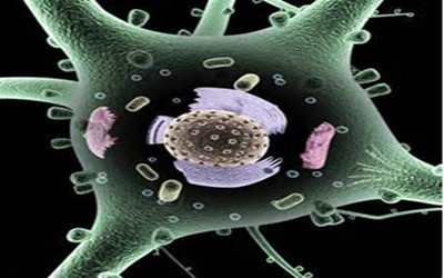 【干货】生物标志物从筛选、确定走向临床应用