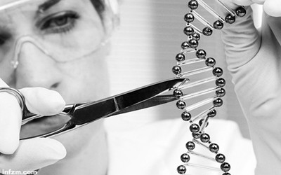 【中泰证券深度报告】“基因剪刀”开启“造物主之梦”平民化新时代