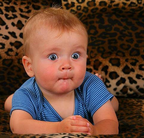 2015生物医学“万万没想到”的十大发现