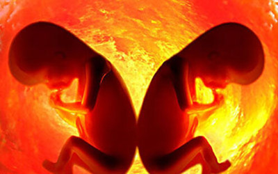 中国科学家在国际上首次建立全新植入前胚胎遗传学诊断方法