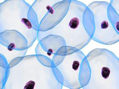 美国国会通过干细胞授权法案