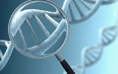 美国专利局宣布介入CRISPR 专利诉讼