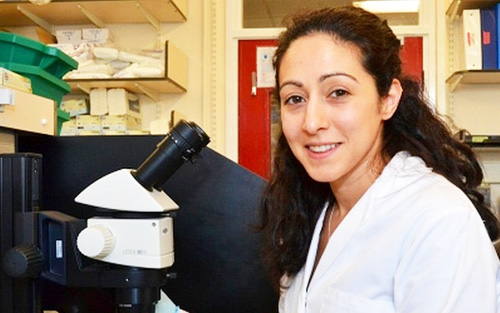 世界首例“官方批准”人类胚胎编辑或通过，首选方向为改善不孕治疗！