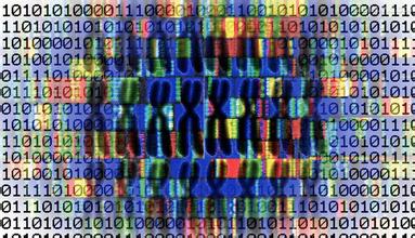 盘点全球各国政府主导的人类基因组测序计划