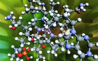 【综述】蛋白质组学研究进展