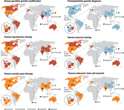 世界各国政府如何监管人类基因组编辑？