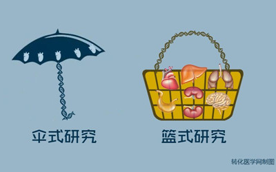 精准医学临床试验之“伞式研究“和“篮式研究”