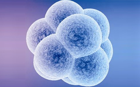 裴雪涛：干细胞产业化发展现状、瓶颈及展望