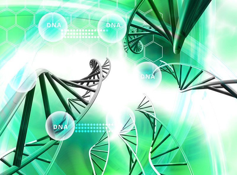 2016晶能生物生物信息培训班报名啦！