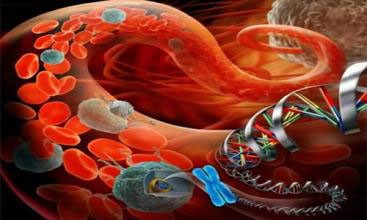 多元化检测技术助力液体活检（ctDNA）临床应用