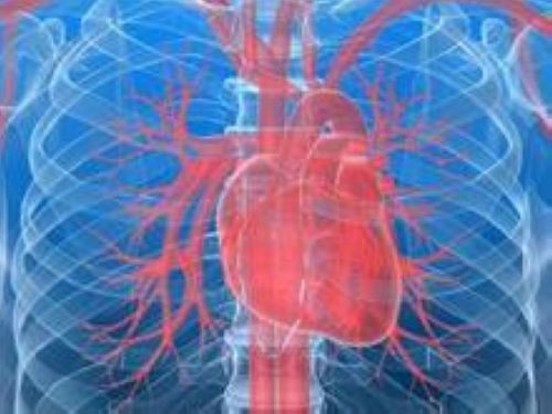 加强临床检验协作 优化心血管疾病诊疗