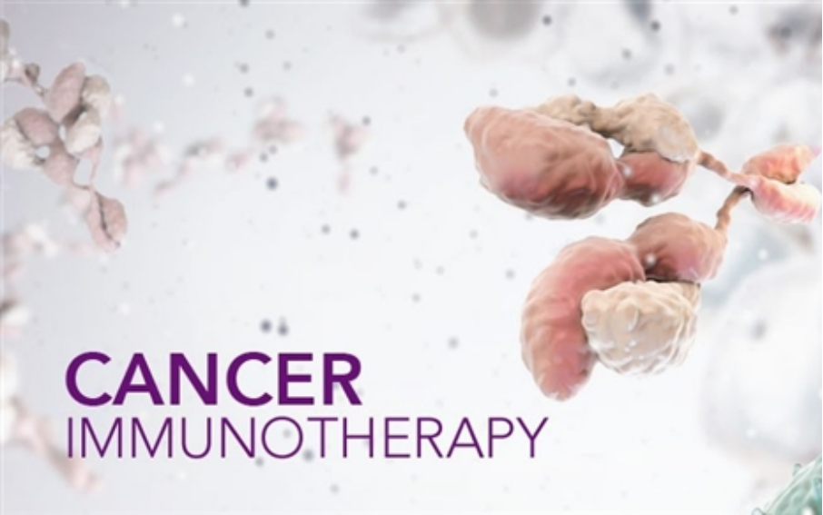 PD-1警报：Opdivo与免疫疗法并用引发严重副作用 已造成一名患者死亡