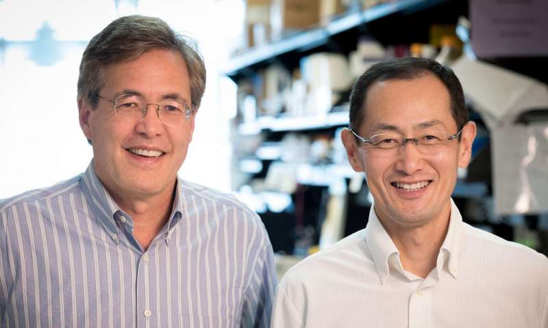 山中伸弥PNAS：提高干细胞重编程效率的新方法