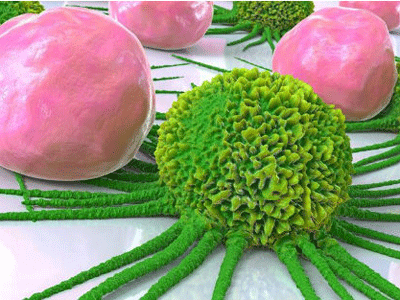 “糖尿病”的降血糖药物 metformin，可望用于治疗“癌症”