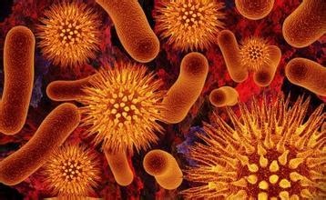 衰老死亡躲不过？肠道菌或许有办法！