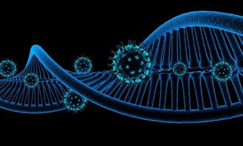 BOA 2018 | 再谈免疫治疗新突破