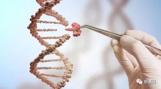 基因治疗,不再遥远!