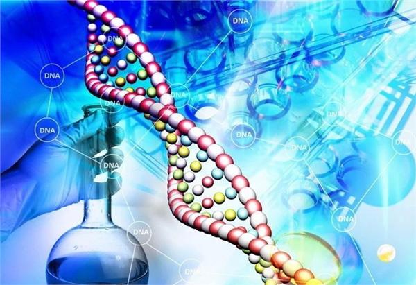 世纪风暴来袭,基因检测热潮席卷中国市场